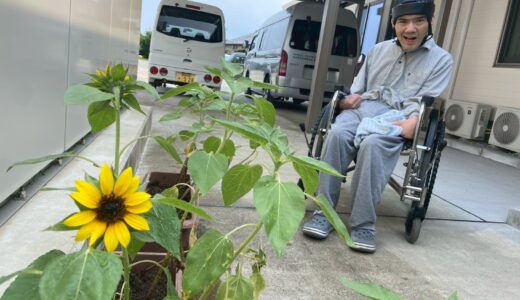 林田さんのひまわり物語