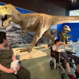 ティラノサウルス展　🦖
