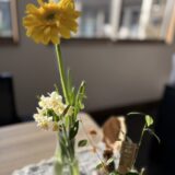 水仙の香りに誘われて🌸