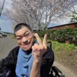 お花見散歩にいってきました