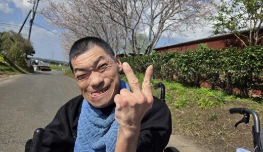 お花見散歩にいってきました