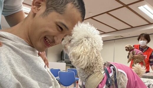 アニマルセラピー